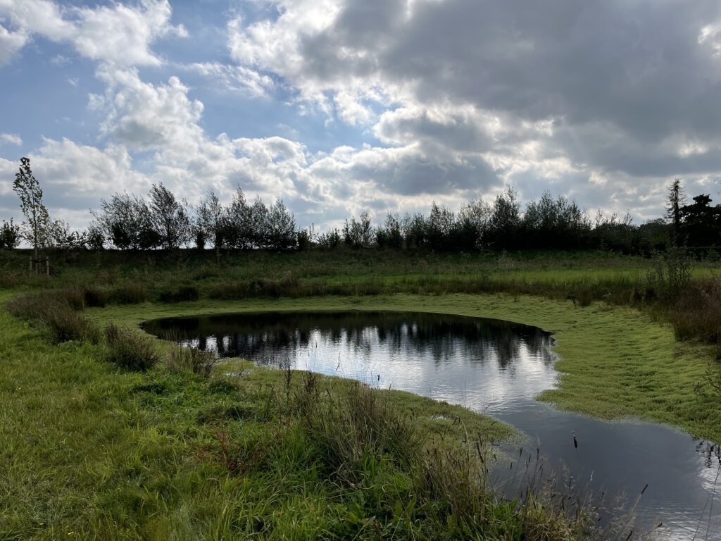 Update voortgang uitvoering woonwijk (met (drone)foto’s)